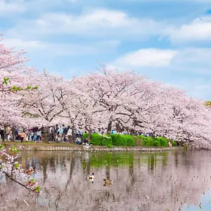 https://4-l-aoda.alltokyohotels.com